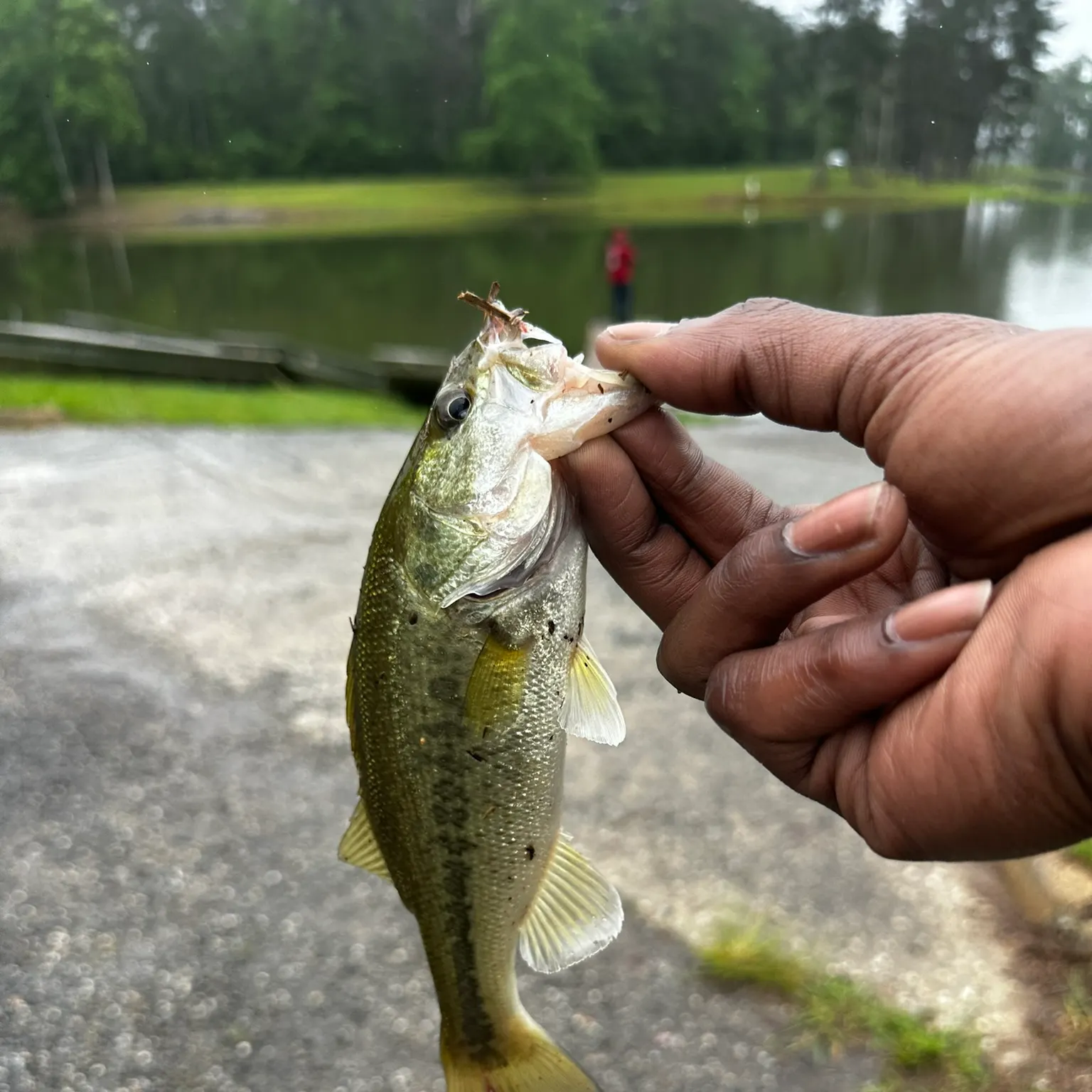 catch