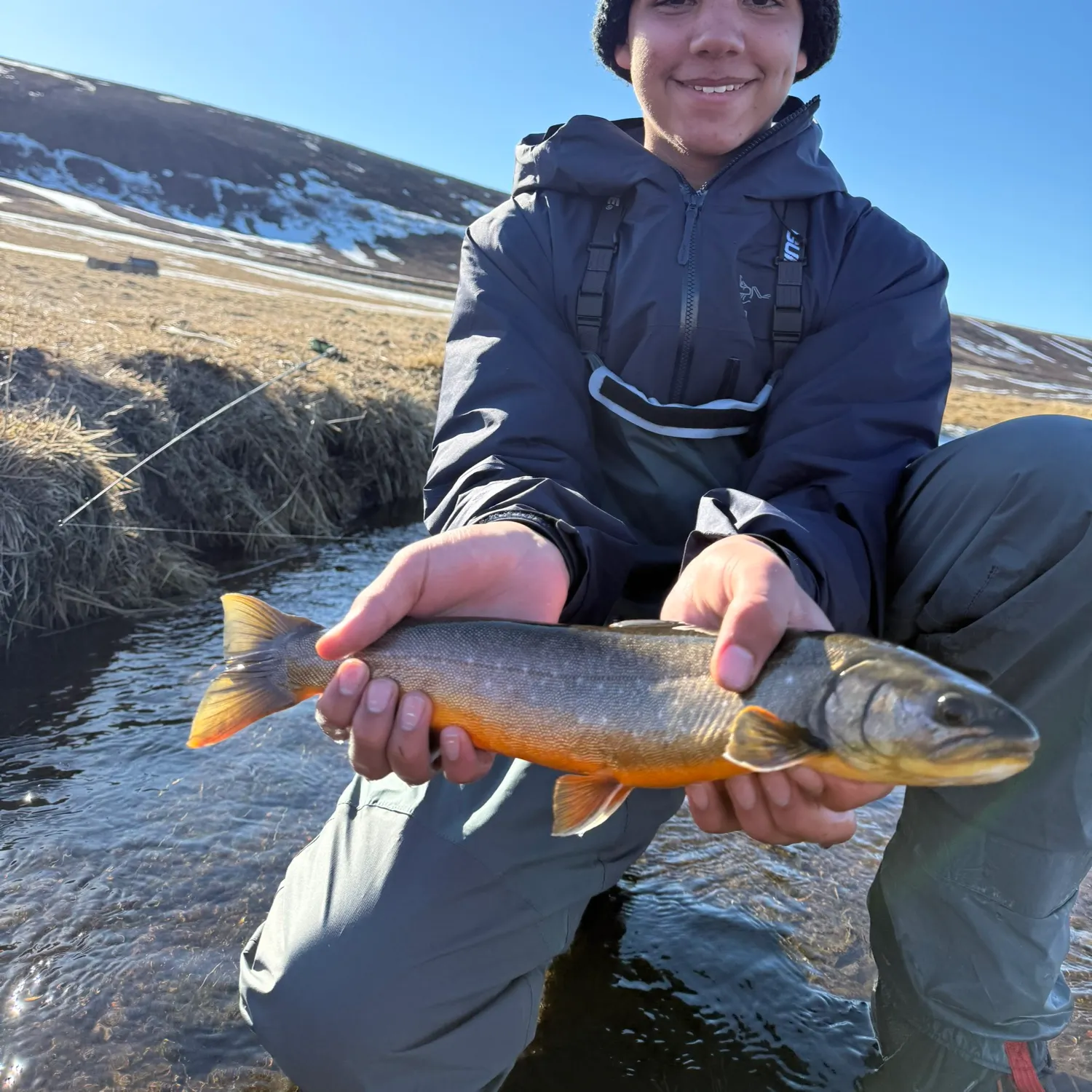 The most recent Arctic char catches on Fishbrain