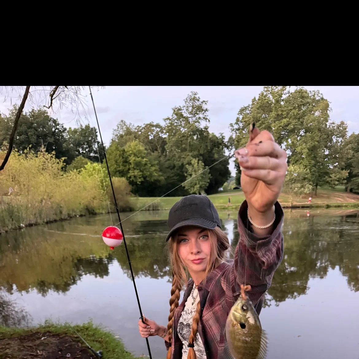 Bluegill caught on Fishbrain