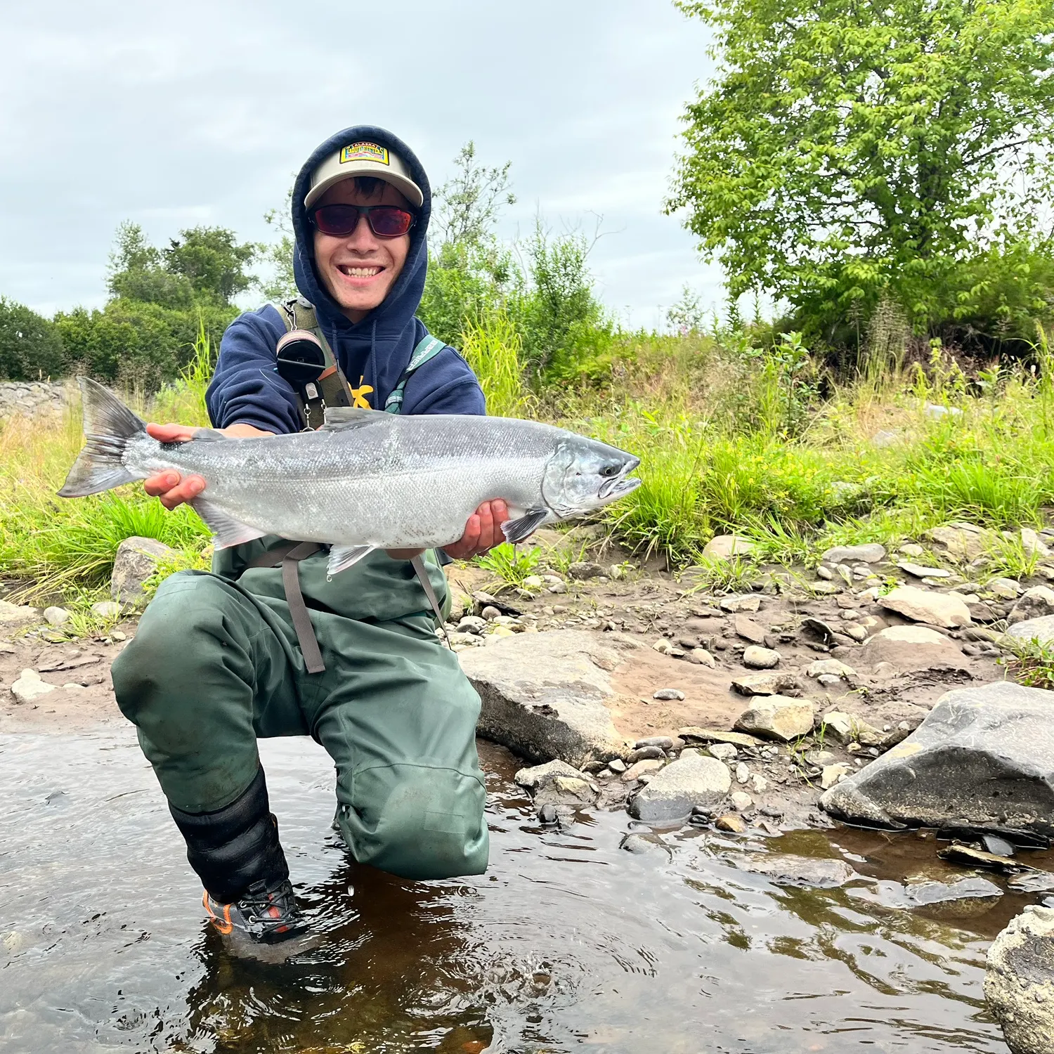 Coho salmon caught on Fishbrain