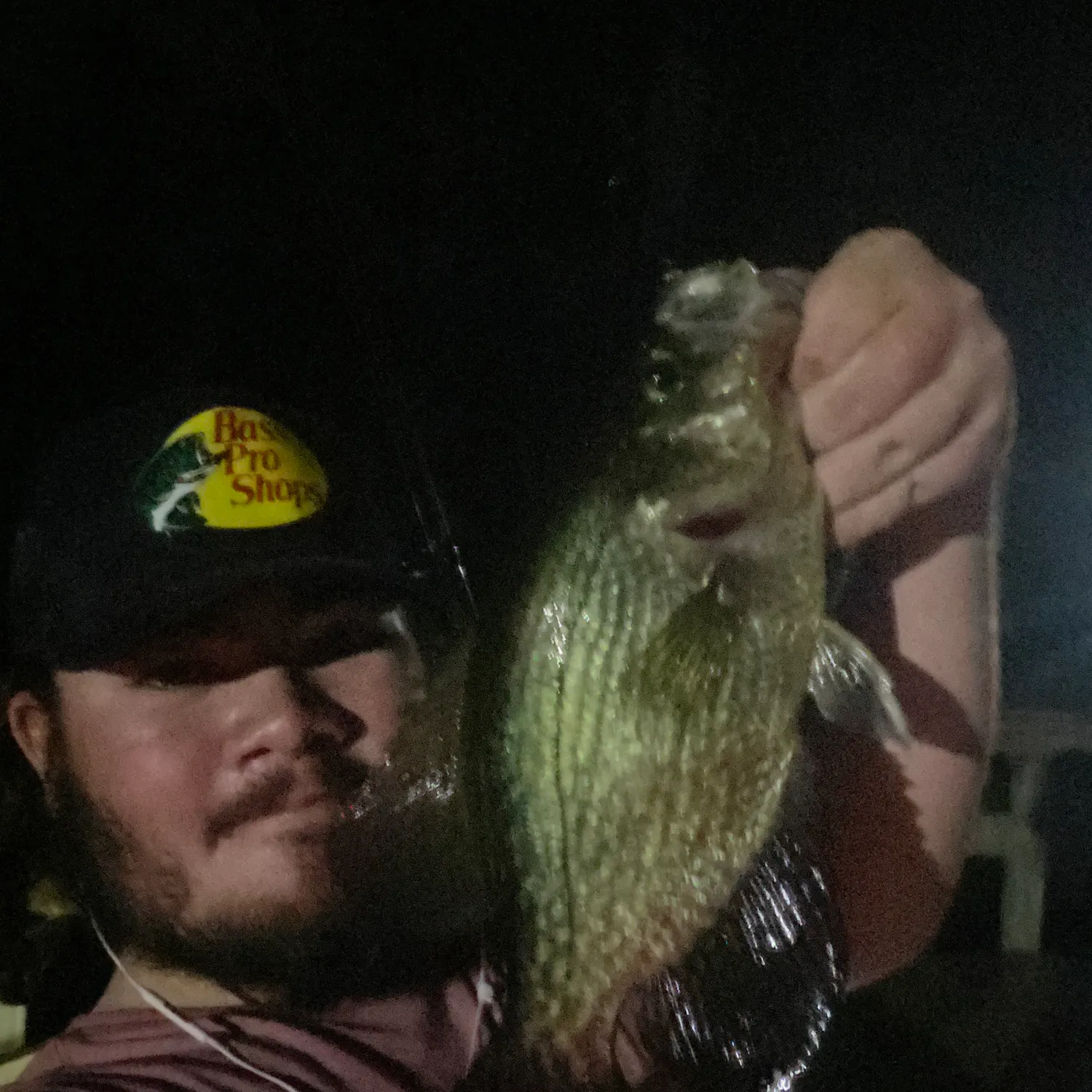 Black crappie caught on Fishbrain
