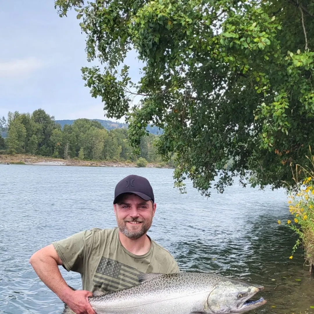 Chinook salmon caught on Fishbrain