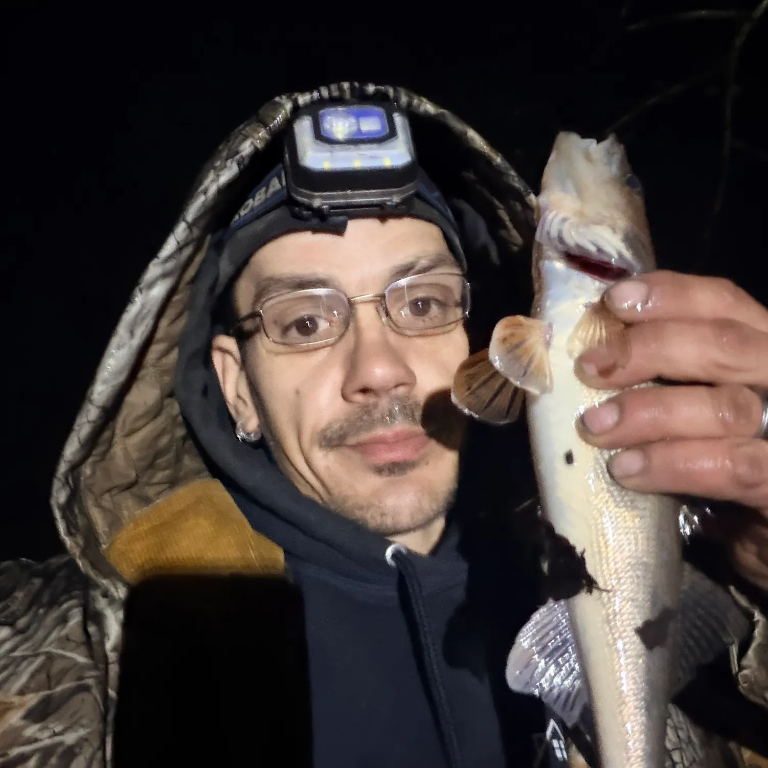 The most recent Sauger catches on Fishbrain