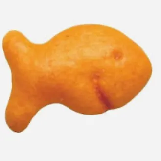 The most recent Great white shark catches on Fishbrain