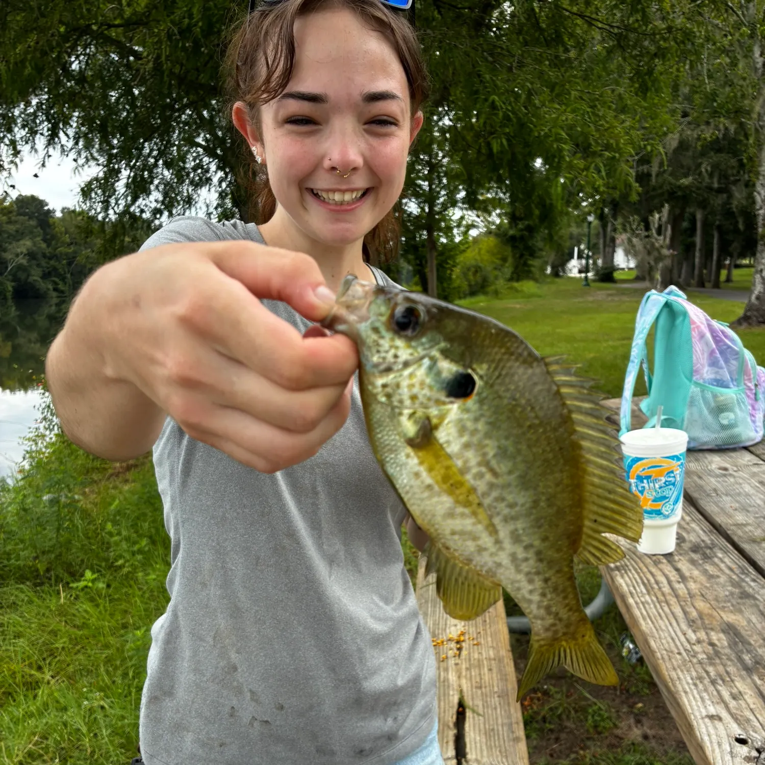 Redear sunfish caught on Fishbrain
