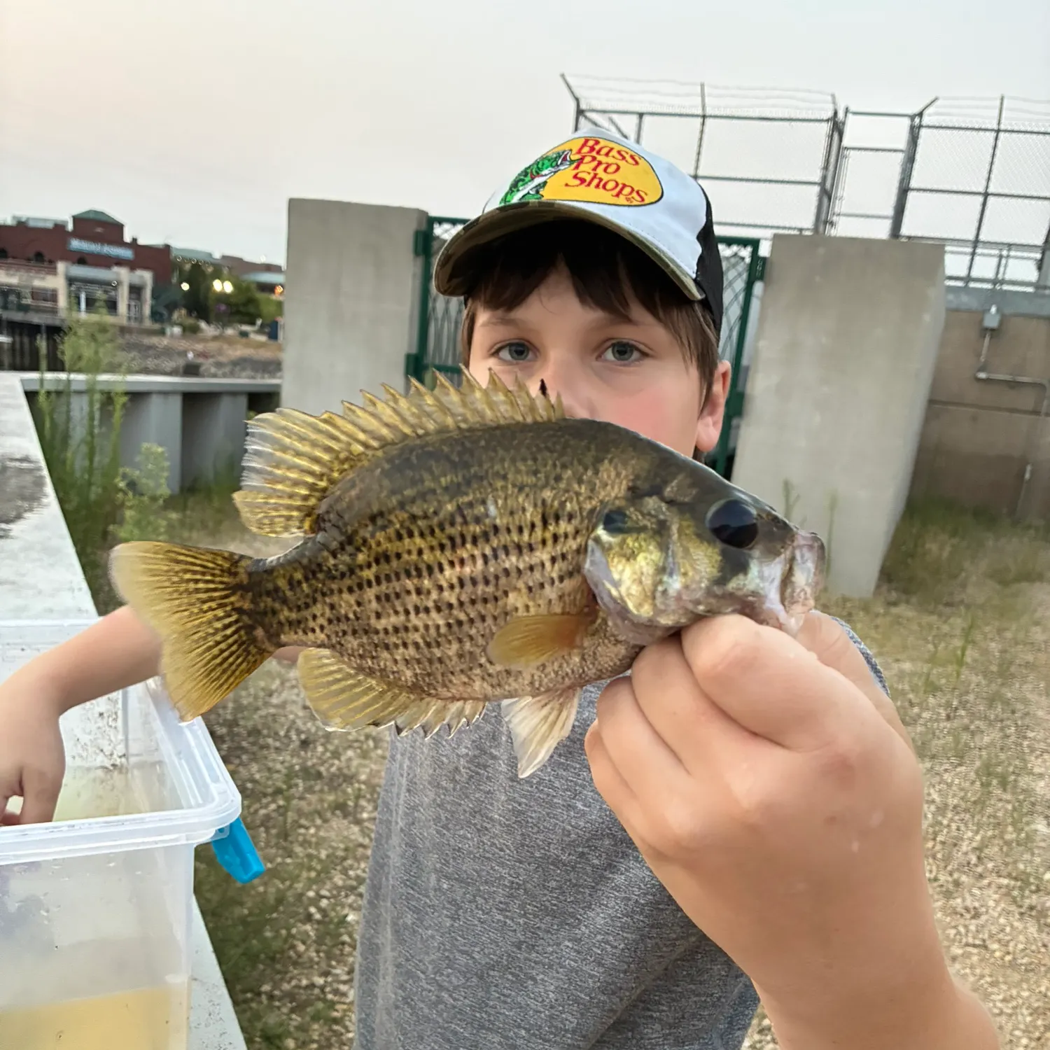 catch