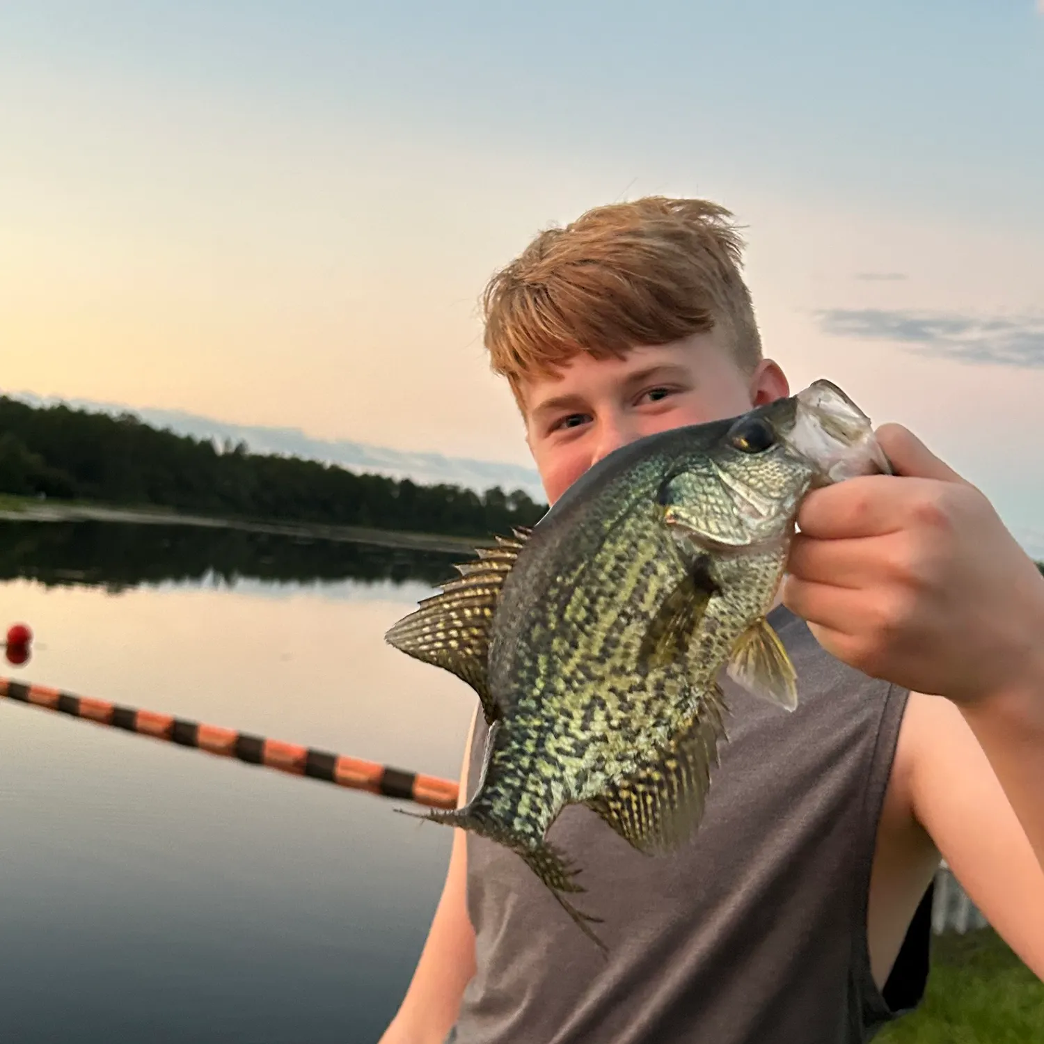 Black crappie caught on Fishbrain