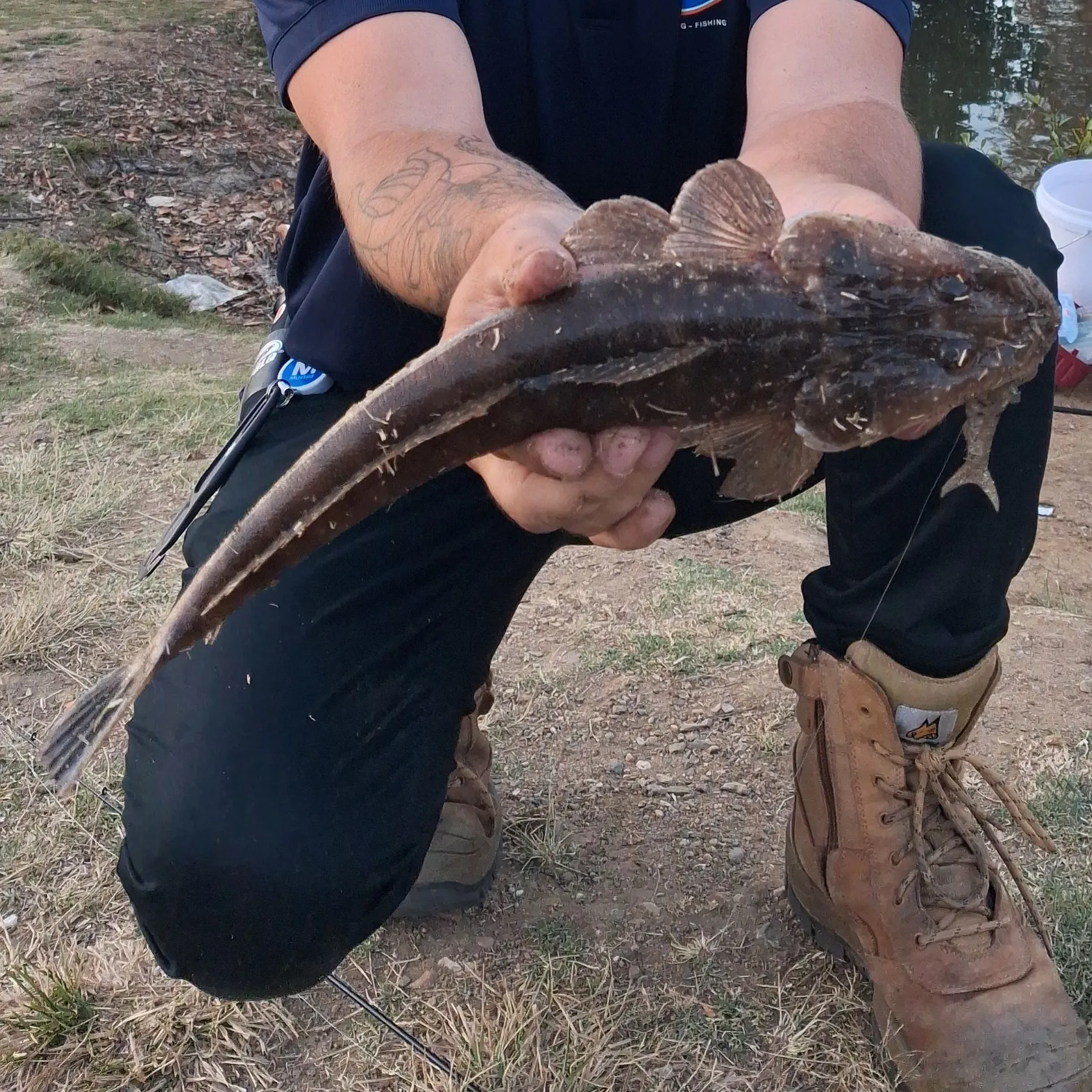 Dusky flathead caught on Fishbrain
