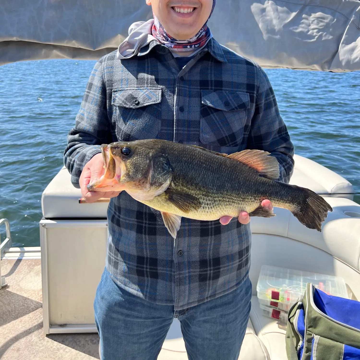 angler catch