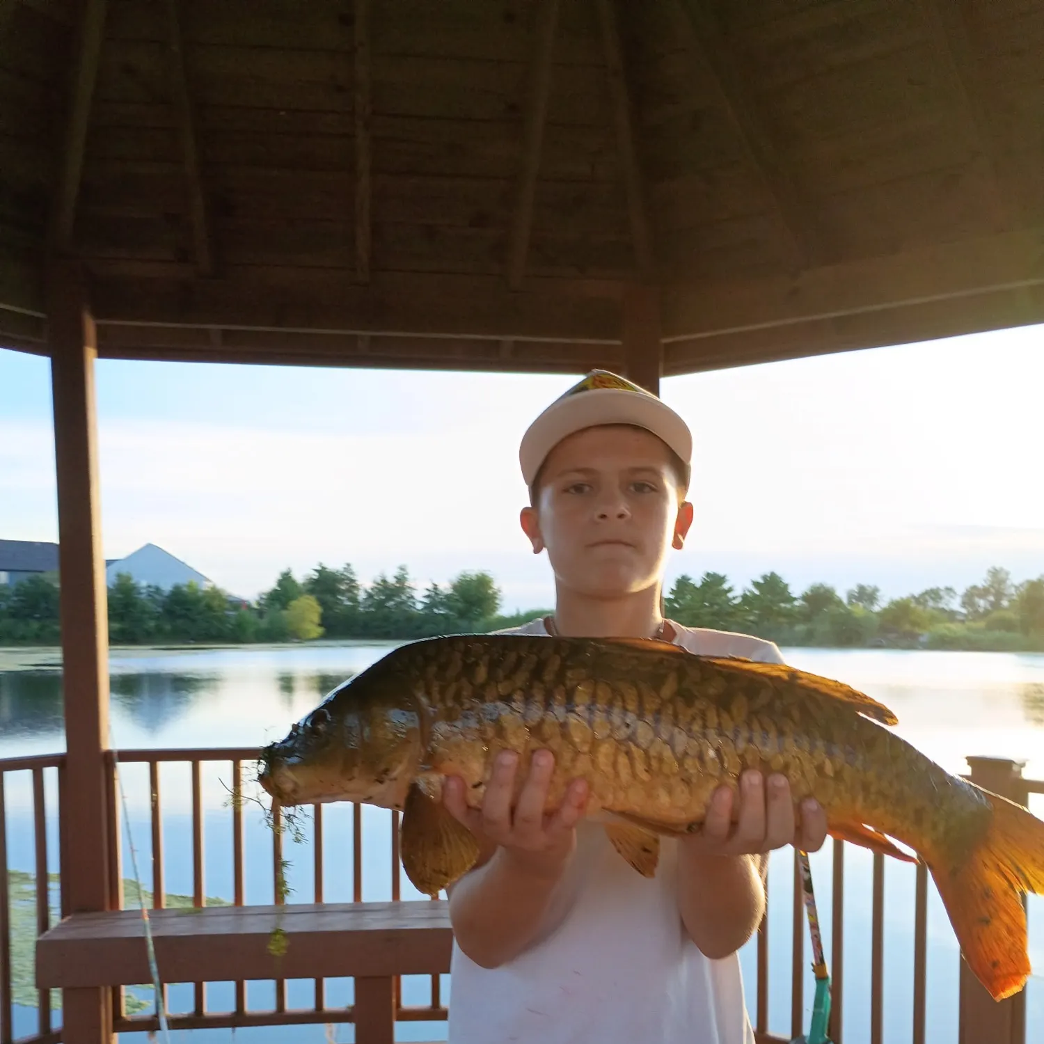 Mirror carp caught on Fishbrain
