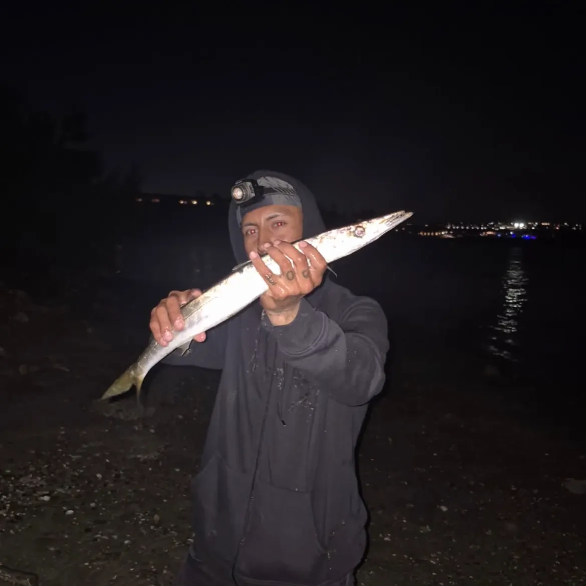 The most recent Pacific barracuda catches on Fishbrain