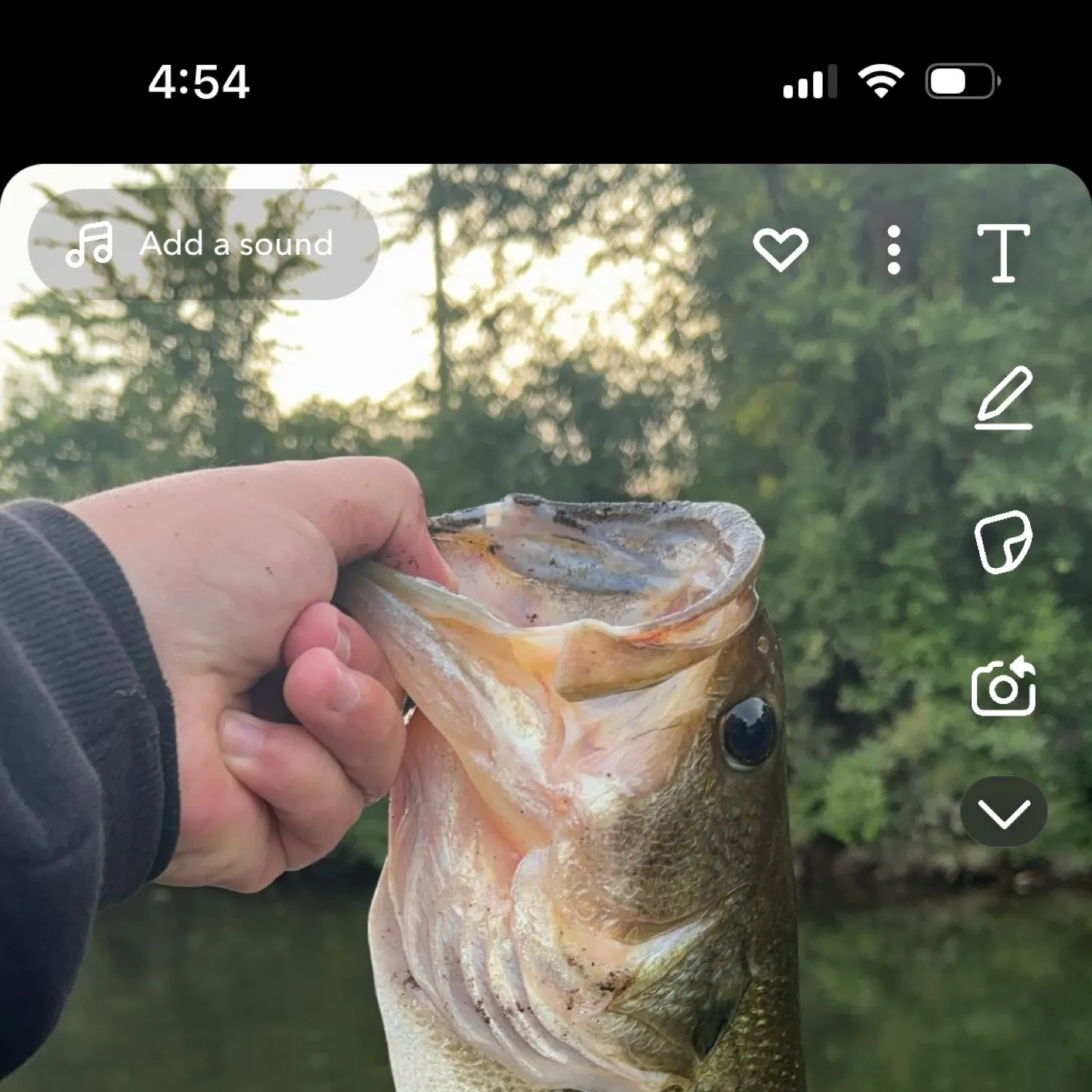 recently logged catches