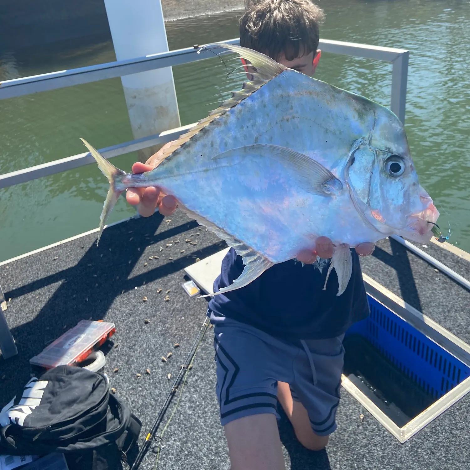 The most recent Indian threadfish catches on Fishbrain