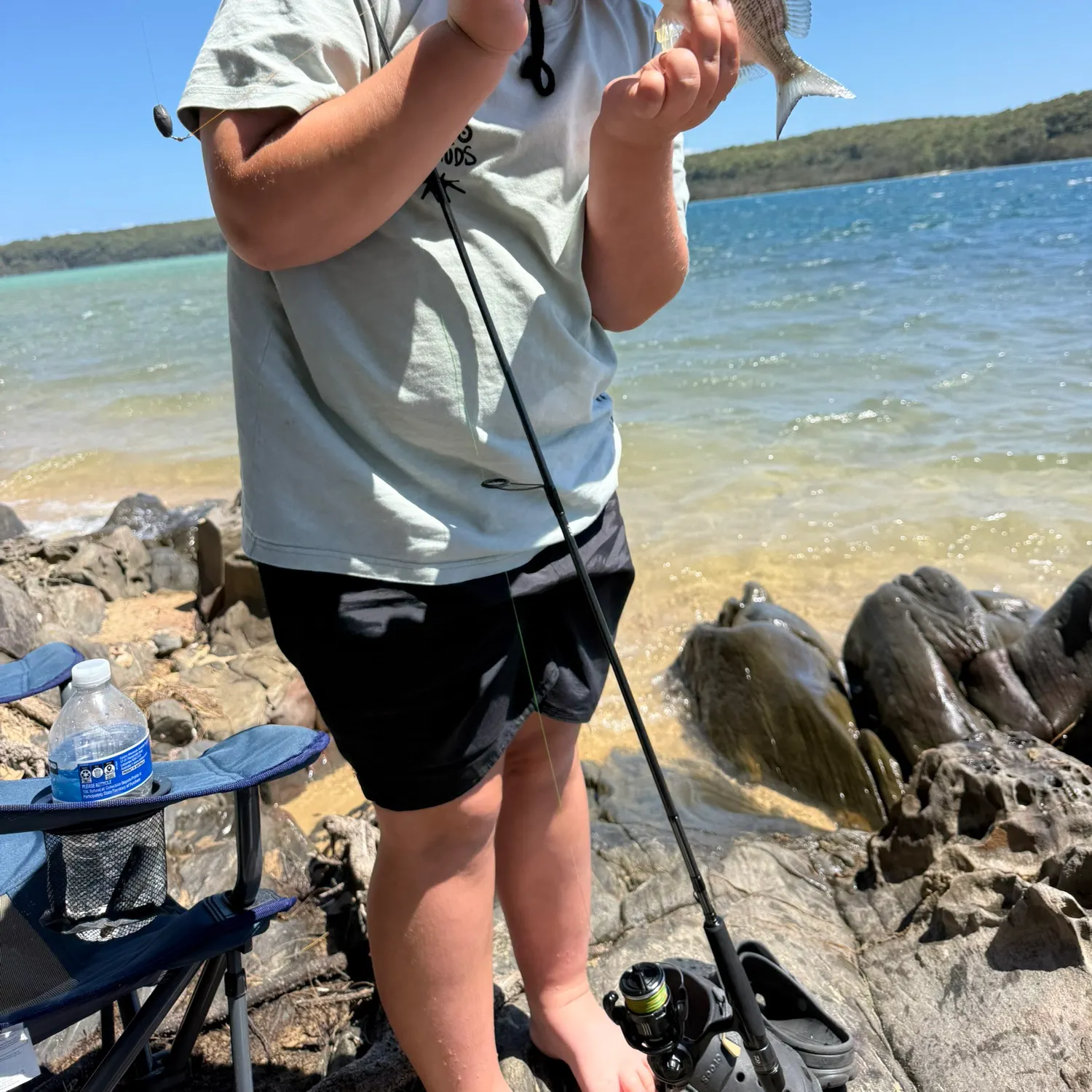 The most recent Surf bream catches on Fishbrain