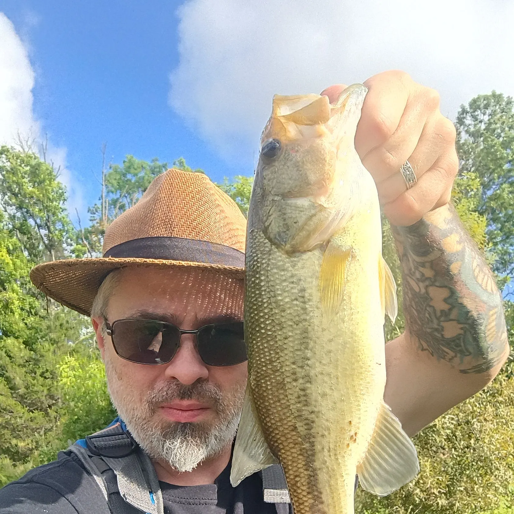 Largemouth bass caught on Fishbrain