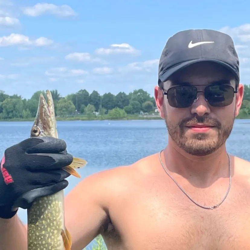 The most recent Northern pike catches on Fishbrain