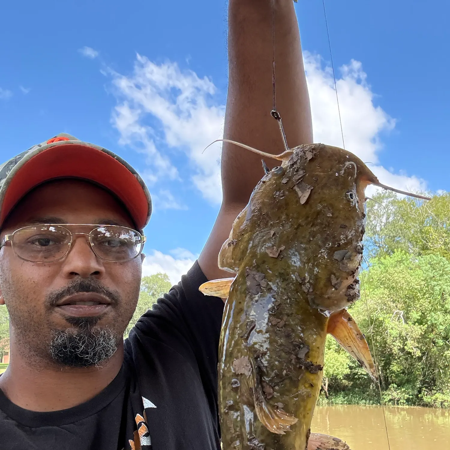 Flathead catfish caught on Fishbrain