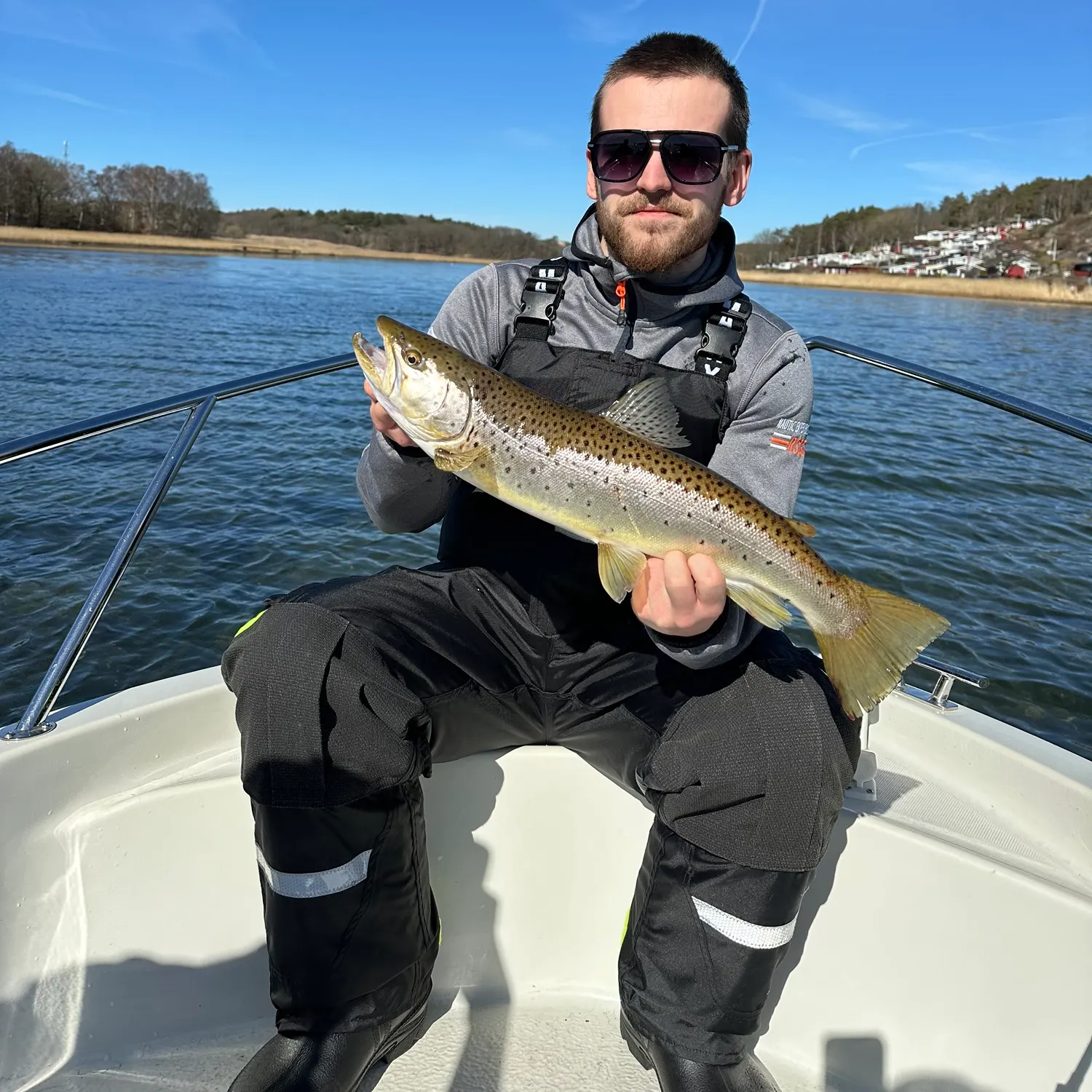 The most recent Sea trout catches on Fishbrain