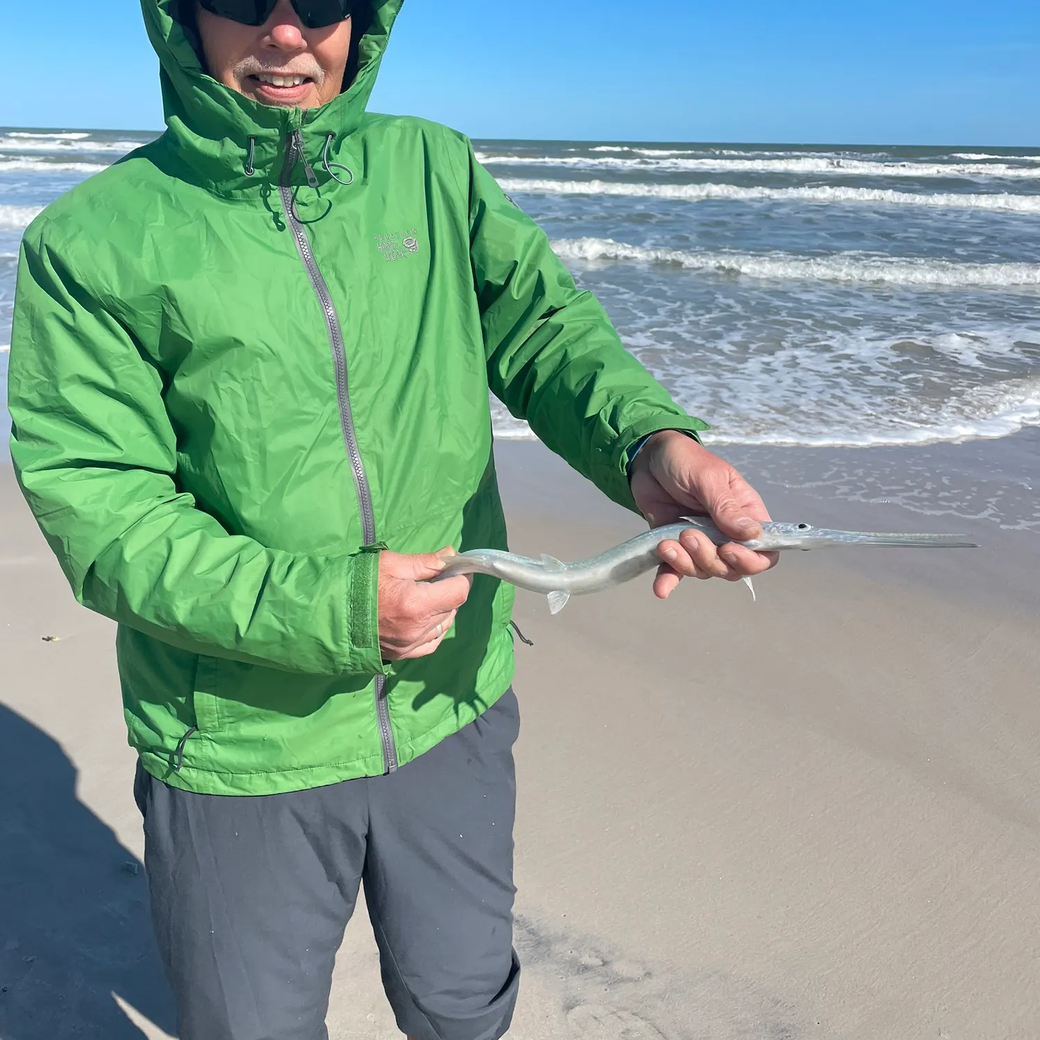 The most recent Hound needlefish catches on Fishbrain