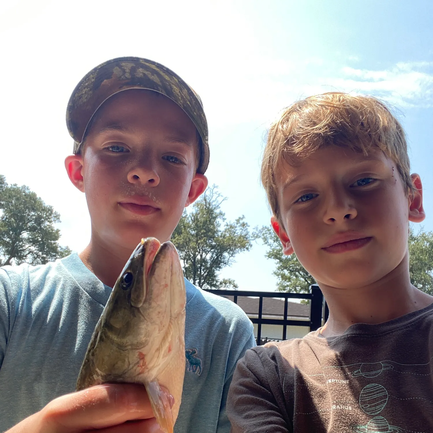 Eyetail bowfin caught on Fishbrain