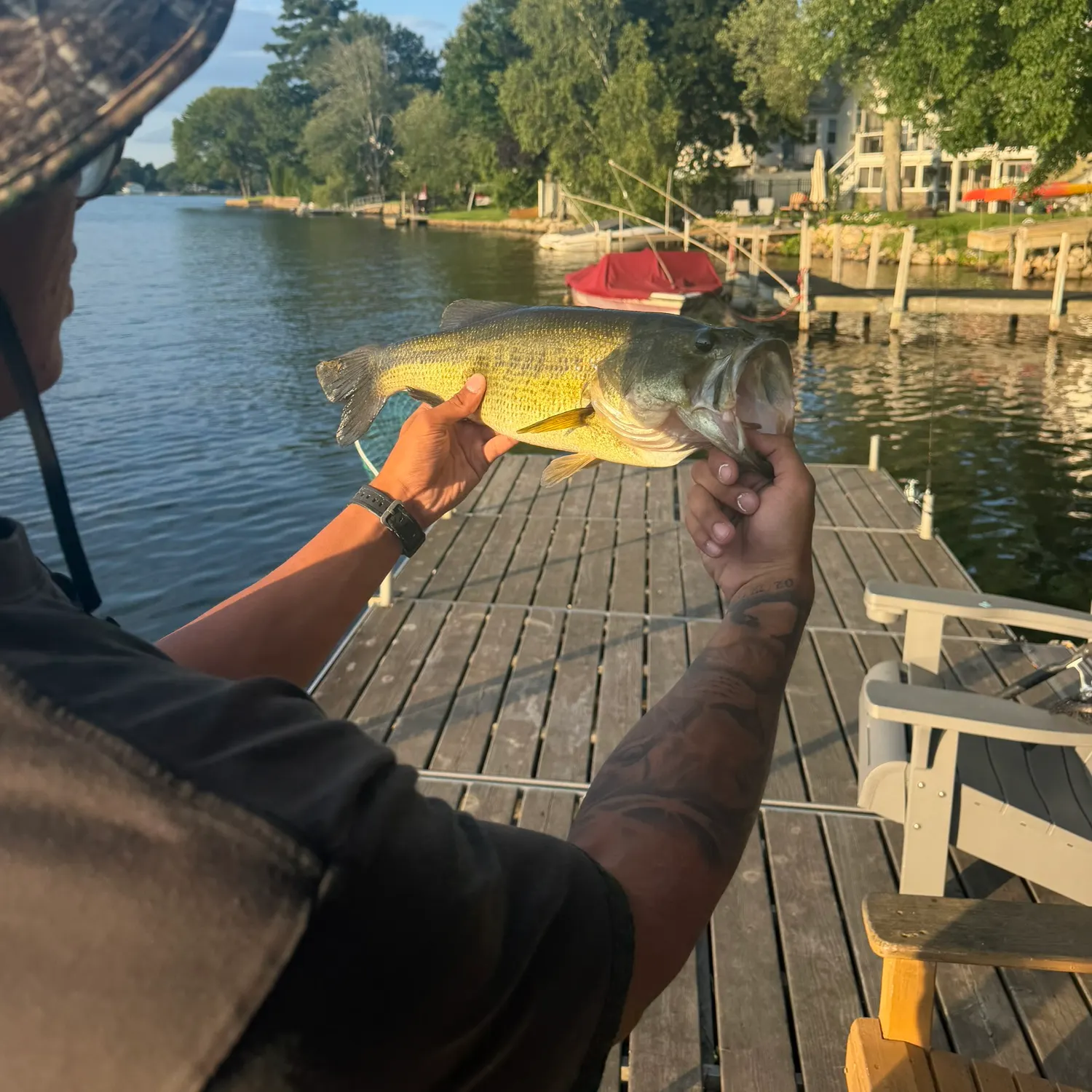 Largemouth bass caught on Fishbrain