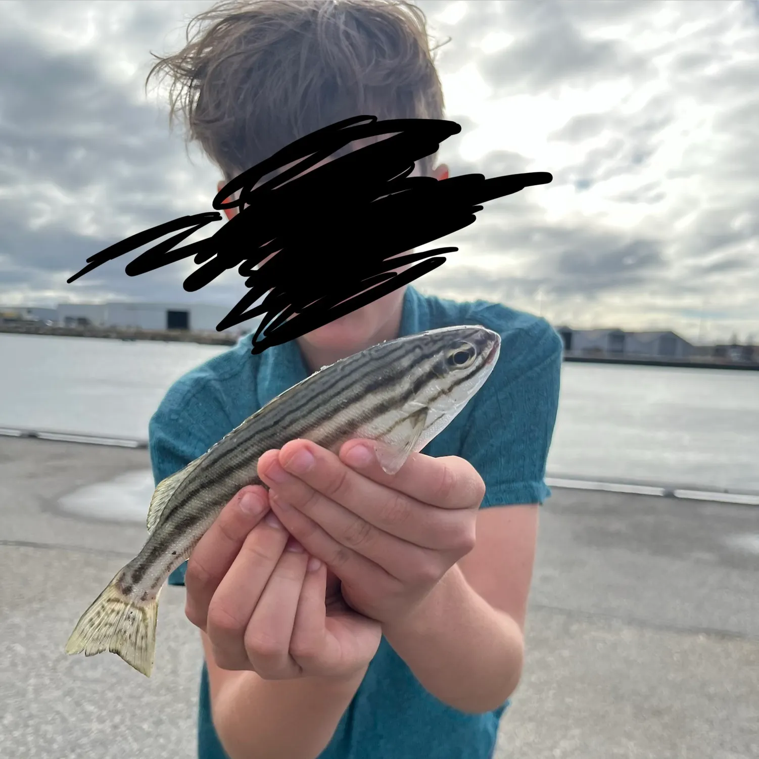 The most recent Eastern striped grunter catches on Fishbrain