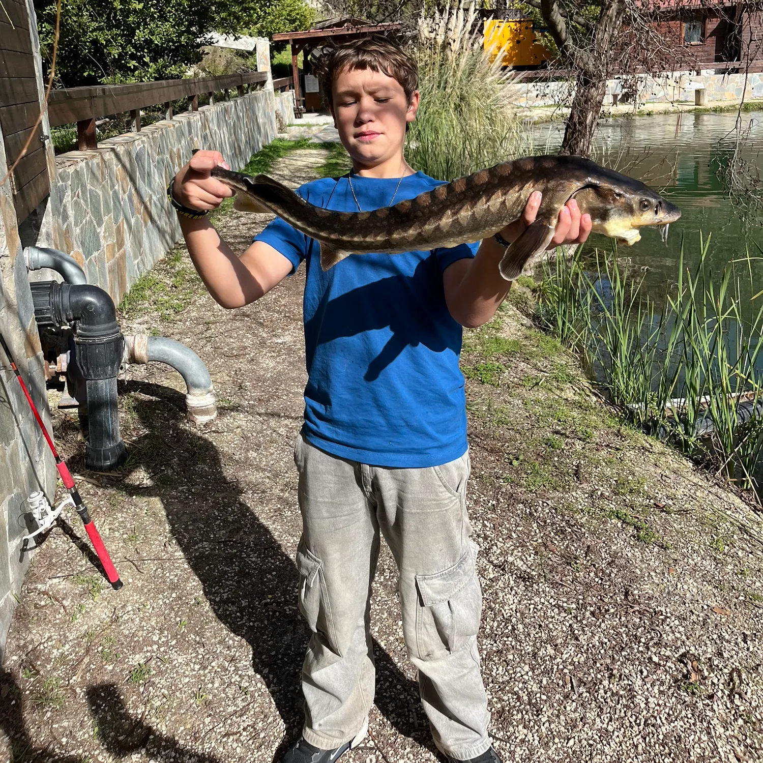 The most recent European sturgeon catches on Fishbrain