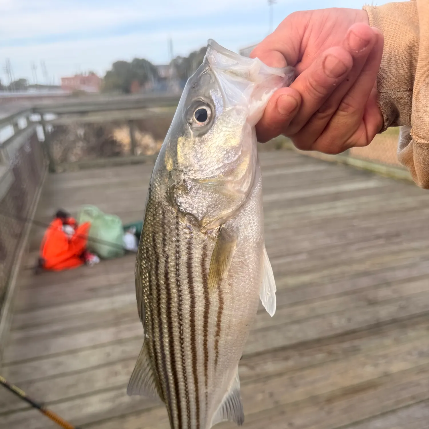 catch