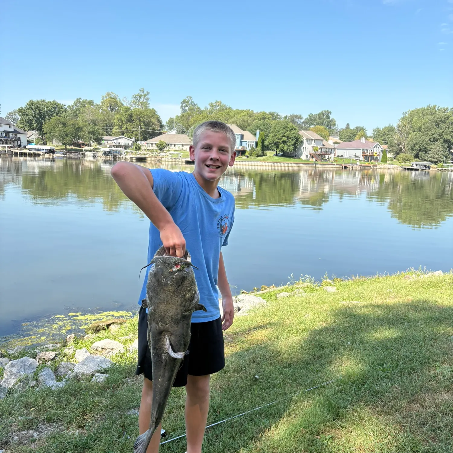 Flathead catfish caught on Fishbrain
