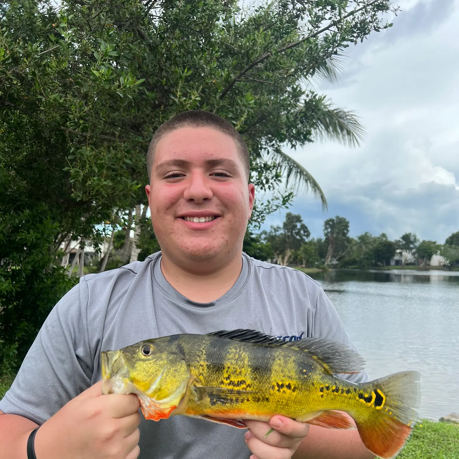The most recent Butterfly peacock bass catches on Fishbrain