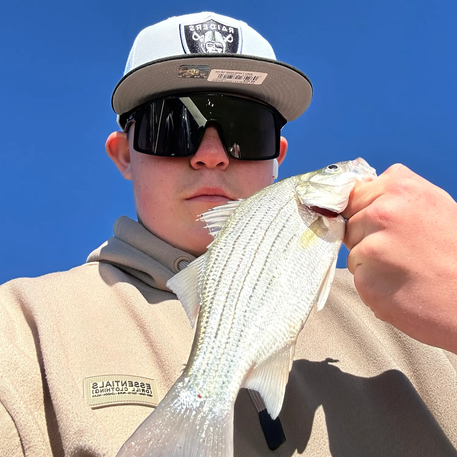 White bass caught on Fishbrain