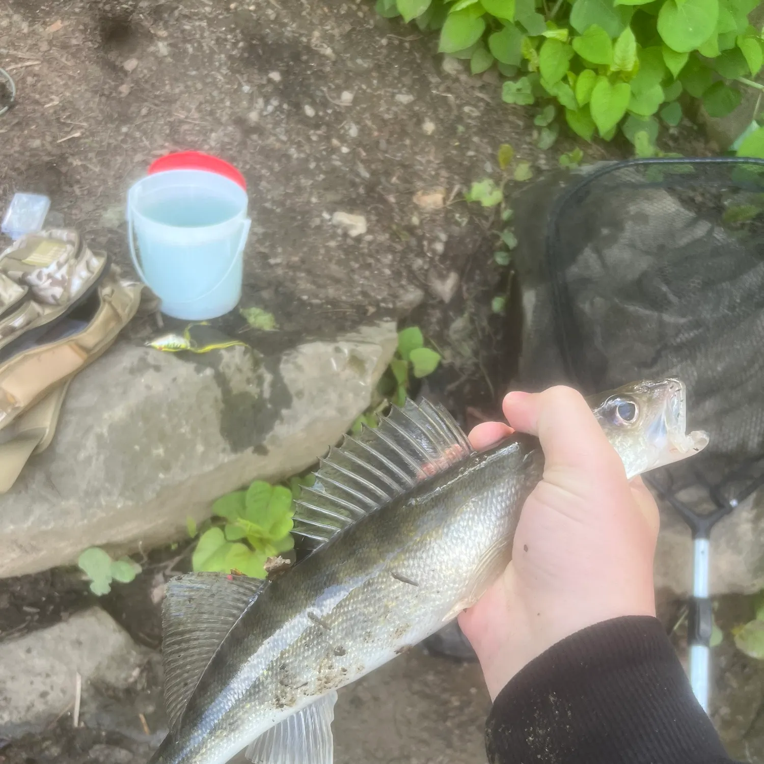 catch