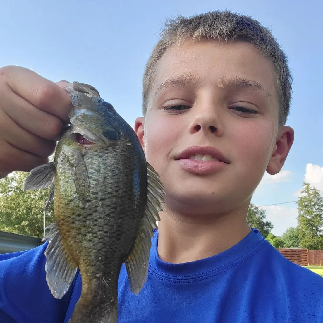 Warmouth caught on Fishbrain