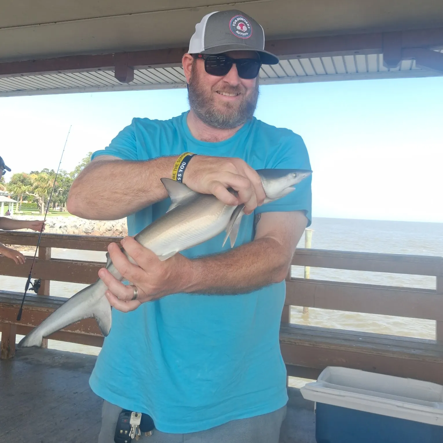 Sandbar shark caught on Fishbrain
