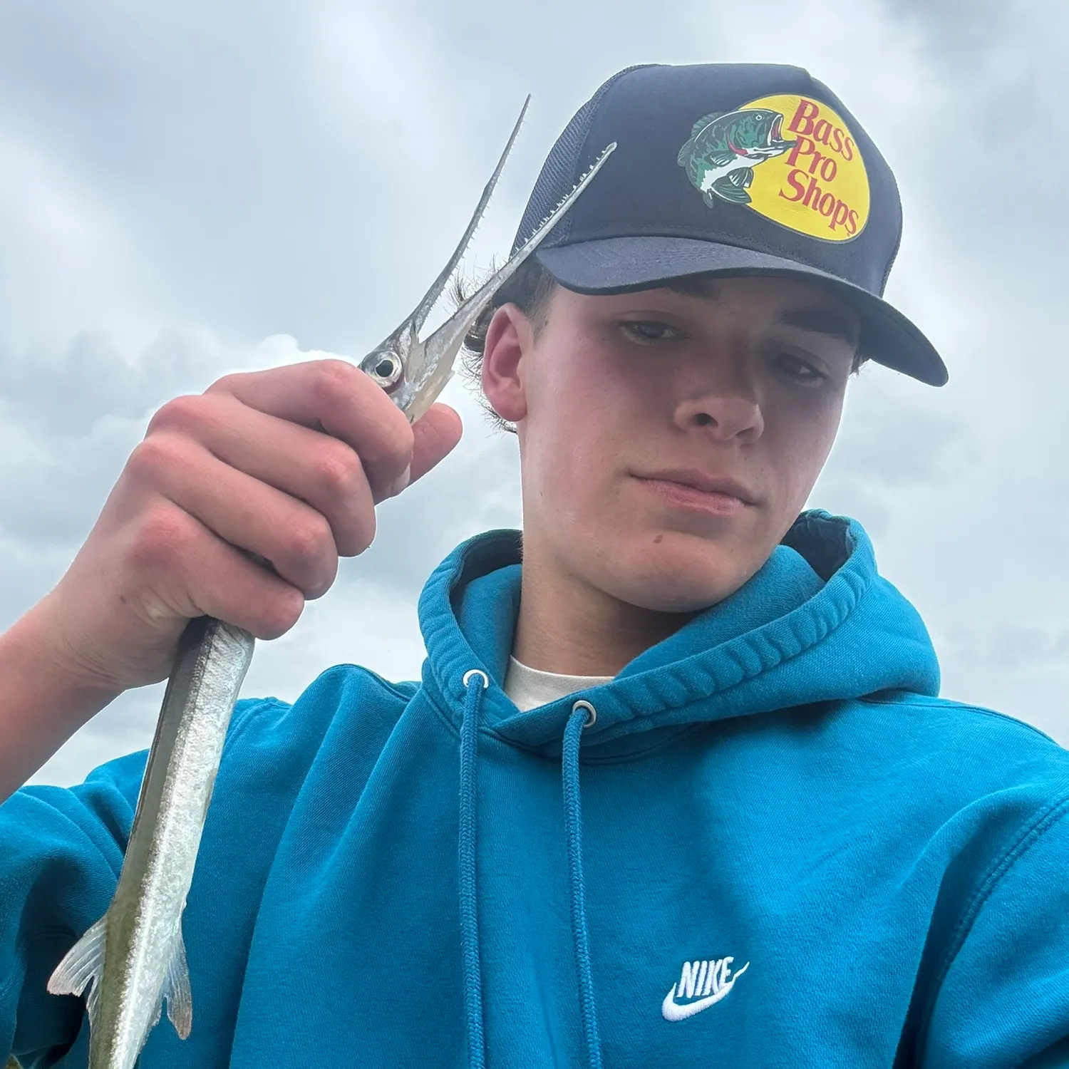 The most recent Flat needlefish catches on Fishbrain