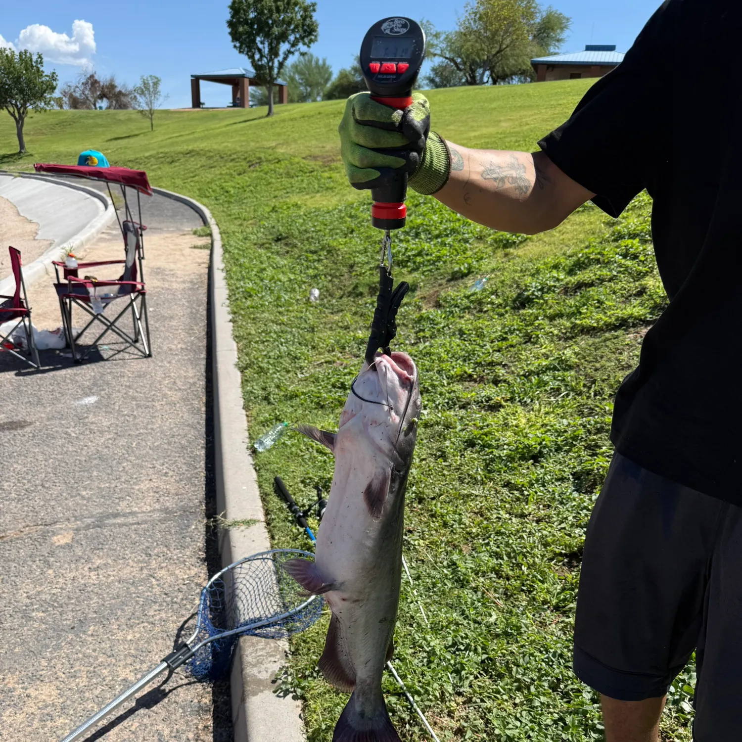catch