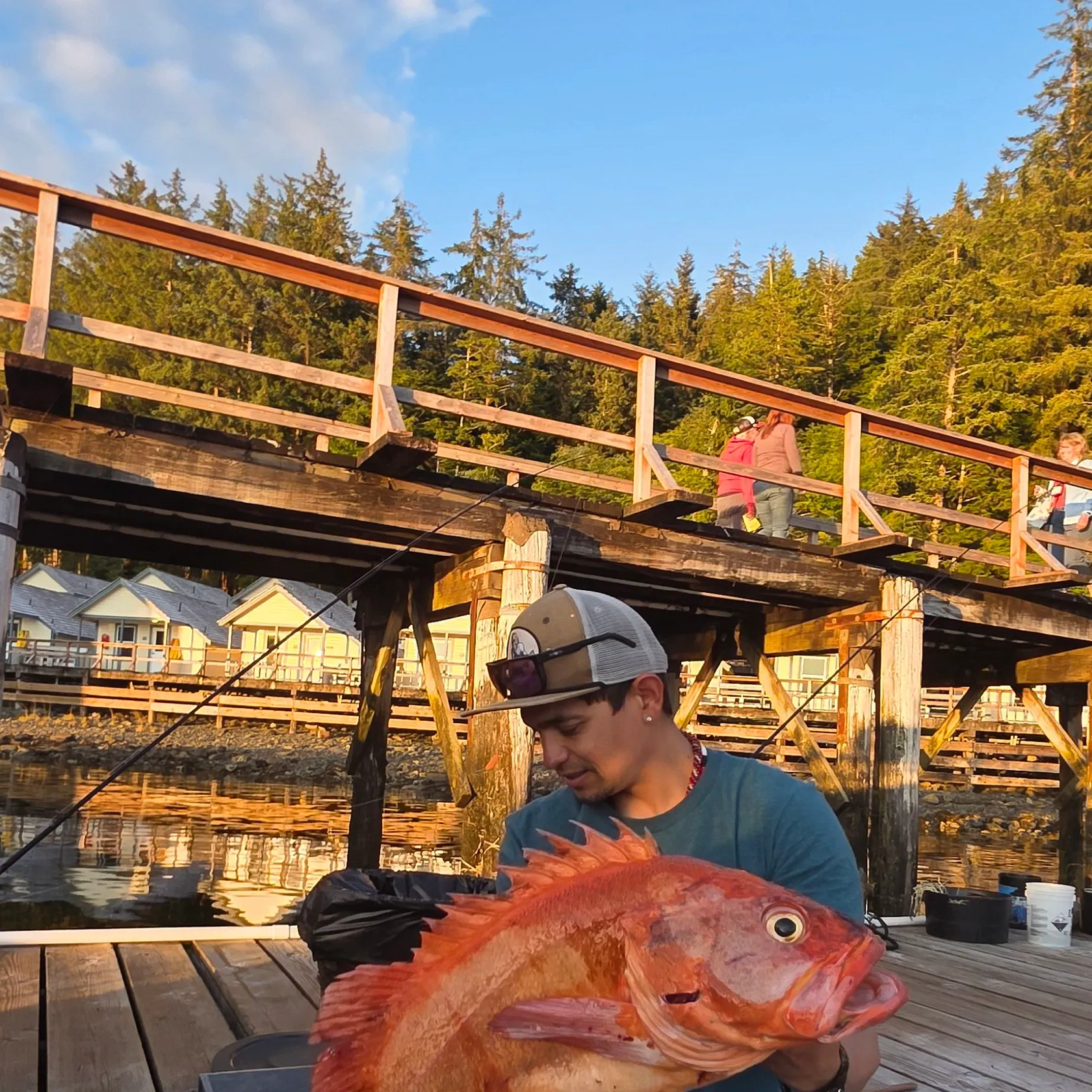 The most recent Yelloweye rockfish catches on Fishbrain