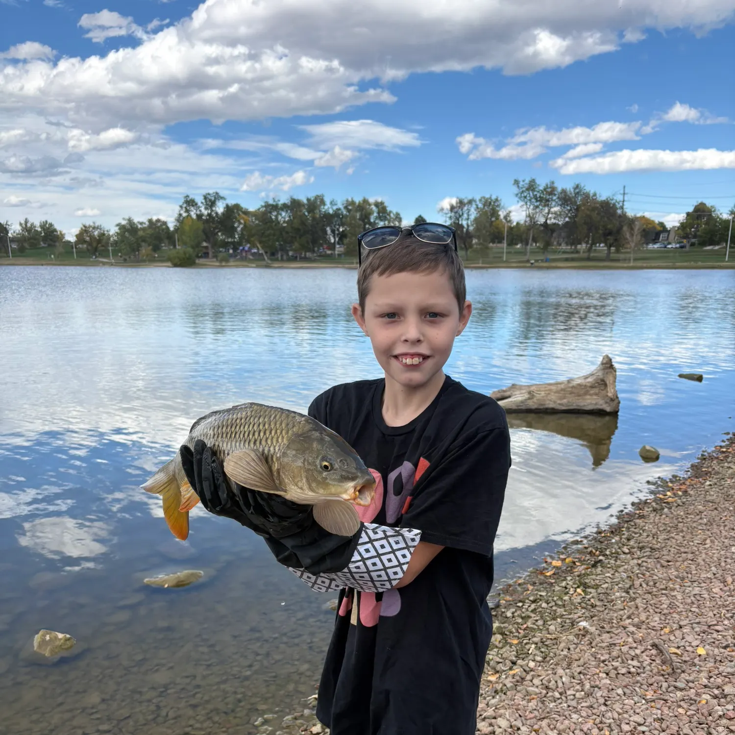 Common carp caught on Fishbrain