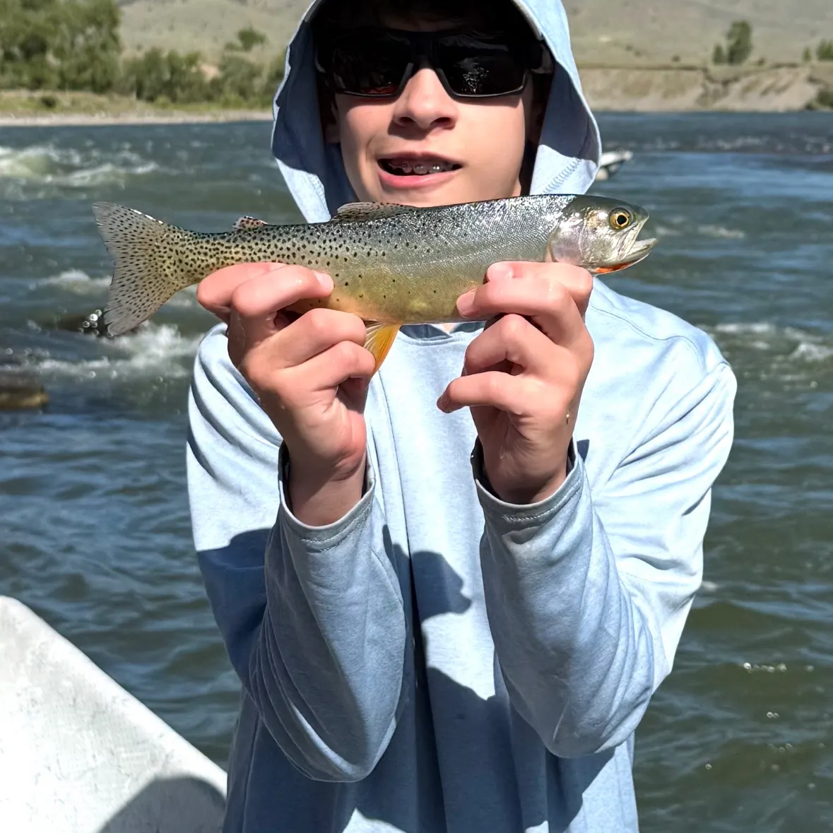 The most recent Cutthroat trout catches on Fishbrain