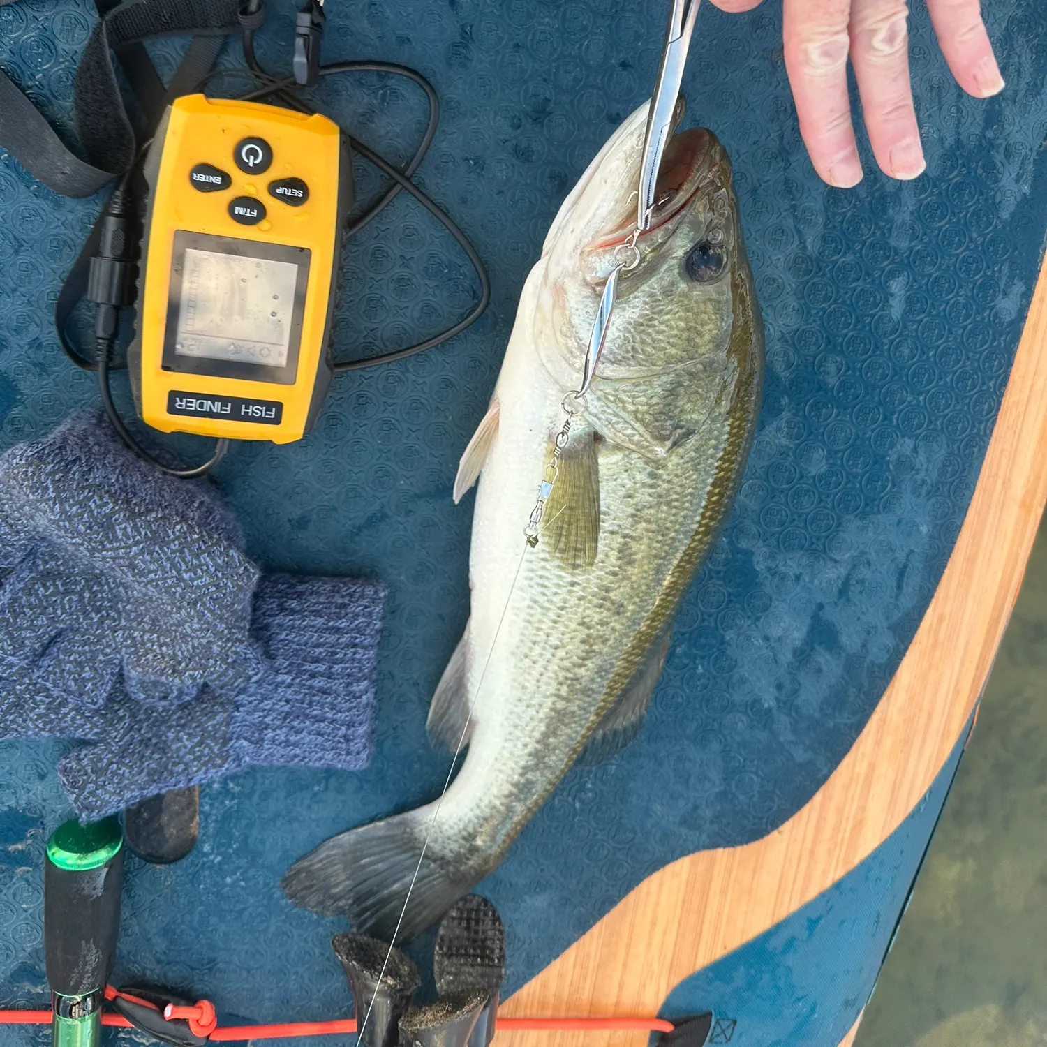 Largemouth bass caught on Fishbrain