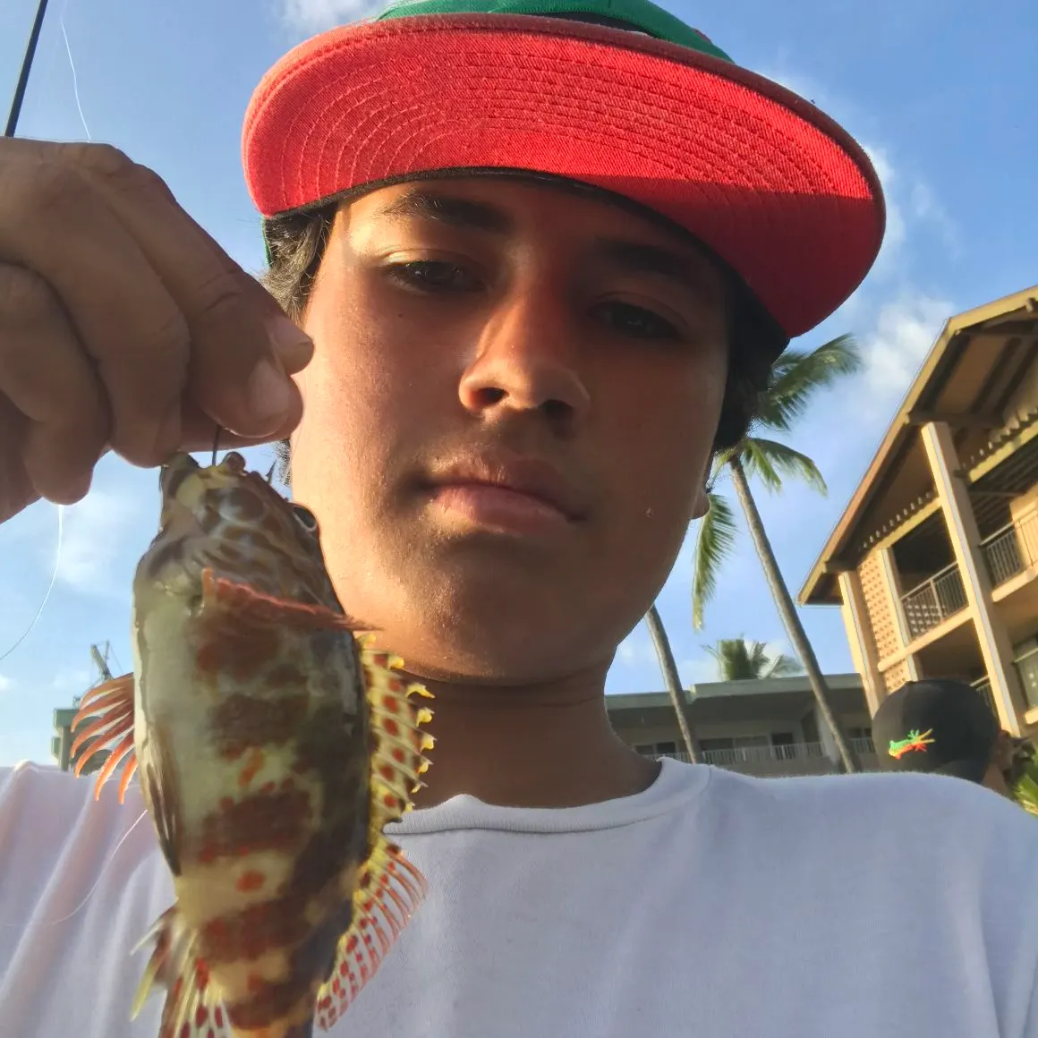 The most recent Stocky hawkfish catches on Fishbrain
