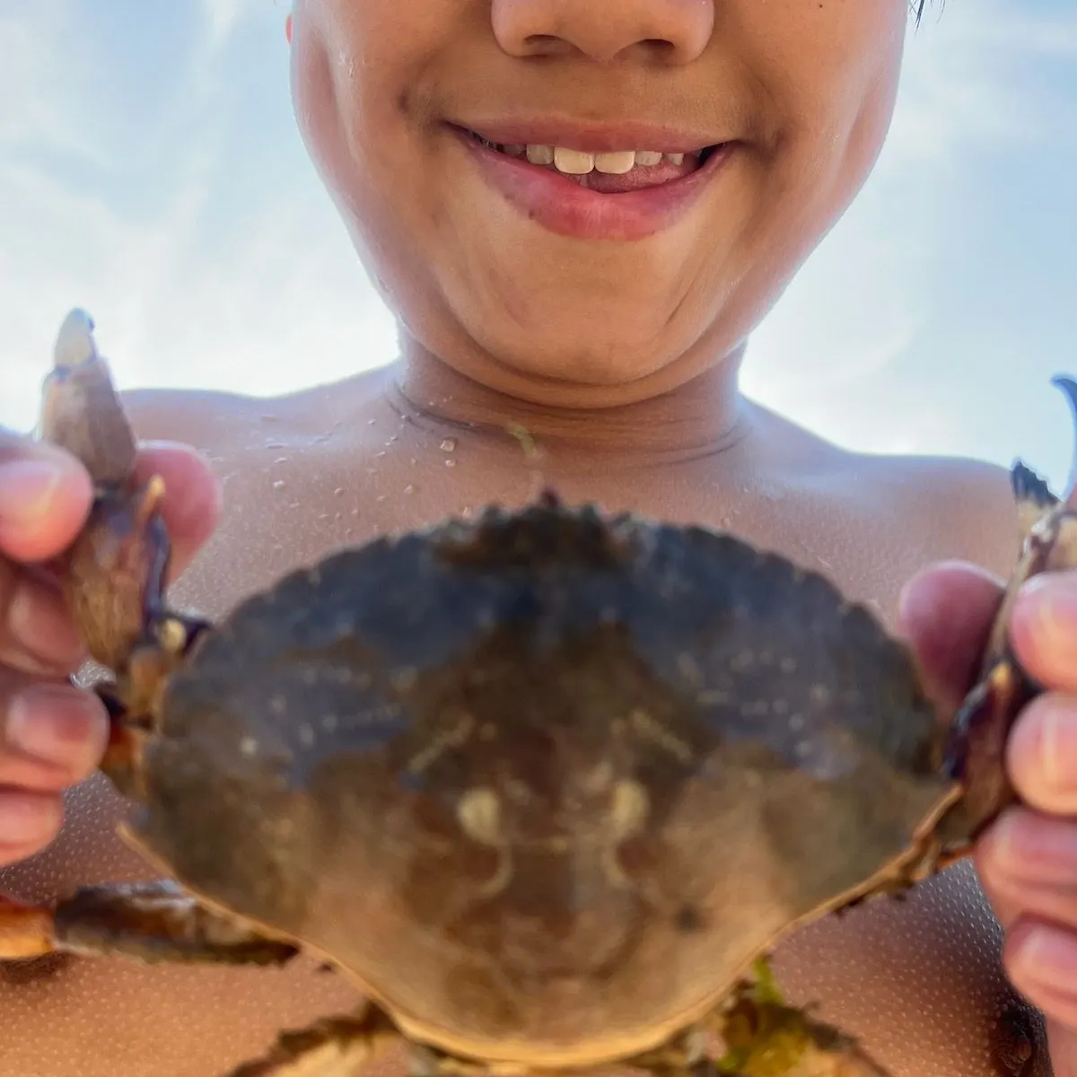 The most recent Dungeness crab catches on Fishbrain