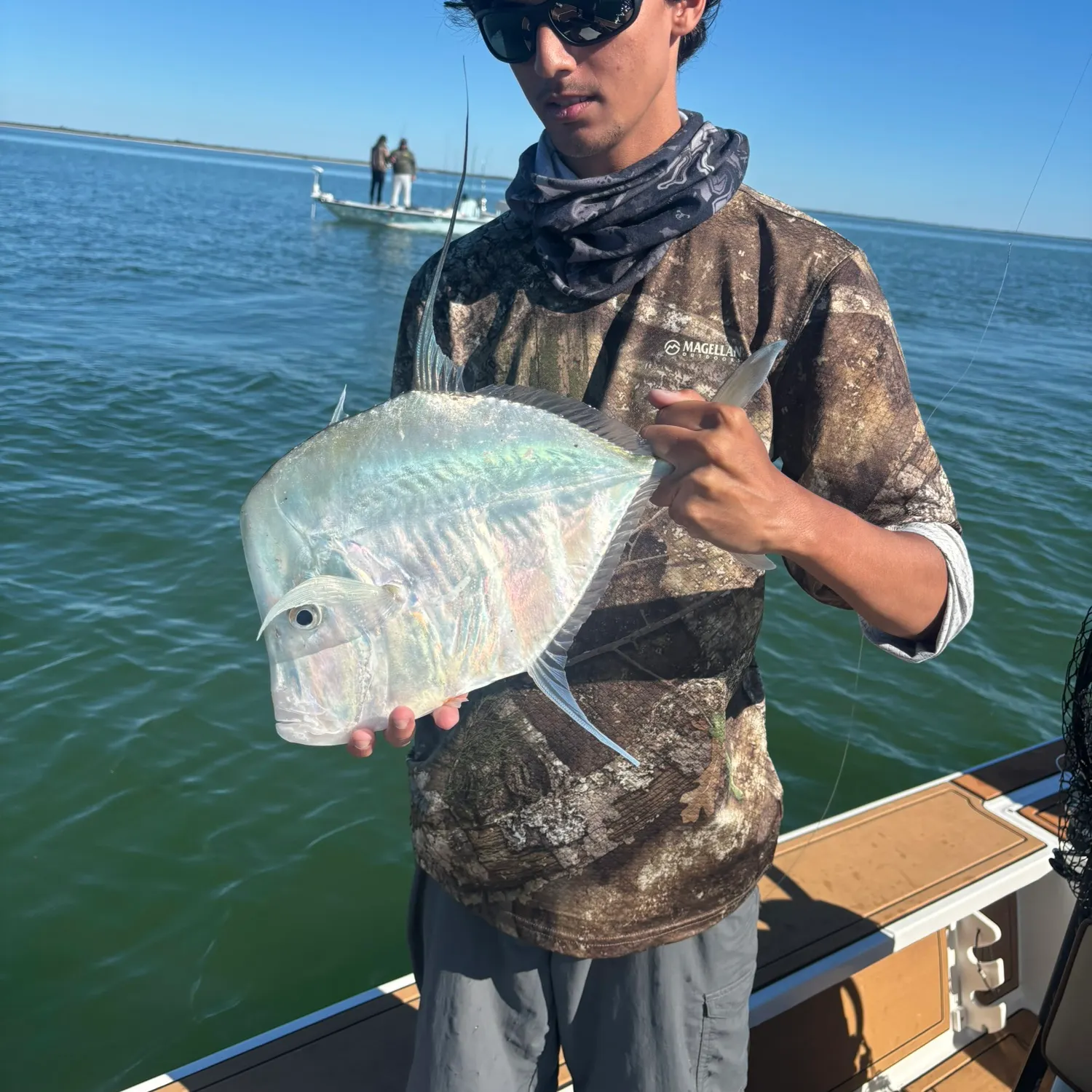 The most recent Lookdown catches on Fishbrain