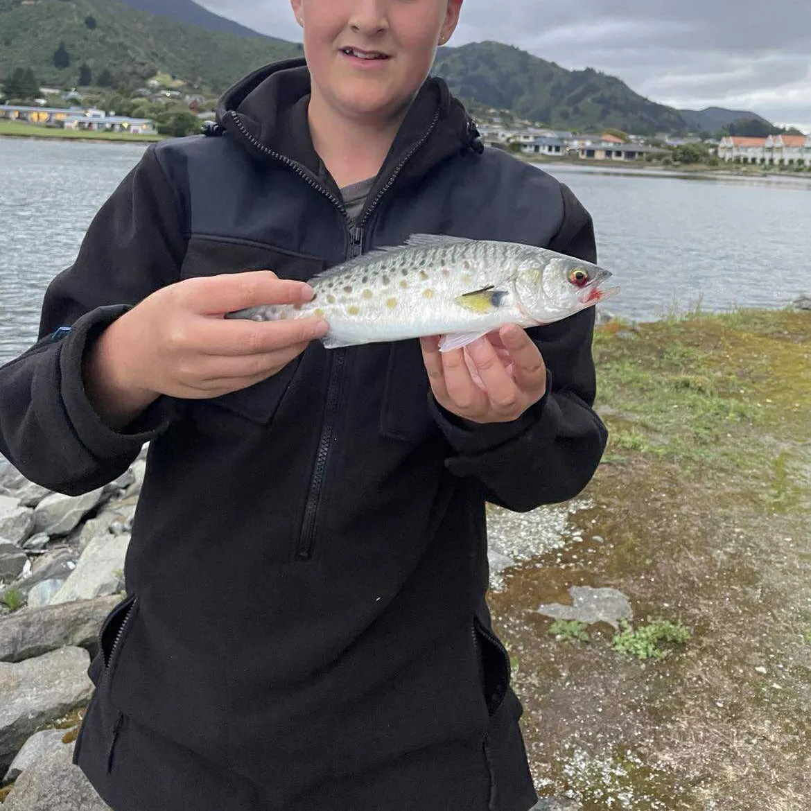 The most recent Eastern Australian salmon catches on Fishbrain