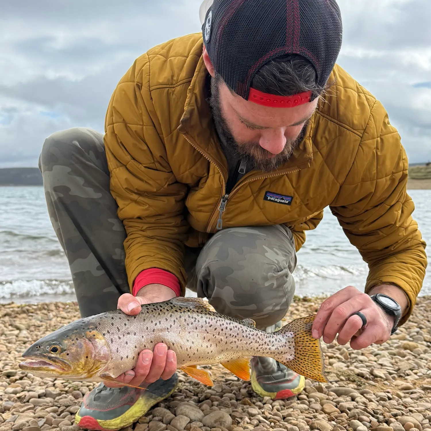 Bear River cutthroat trout caught on Fishbrain