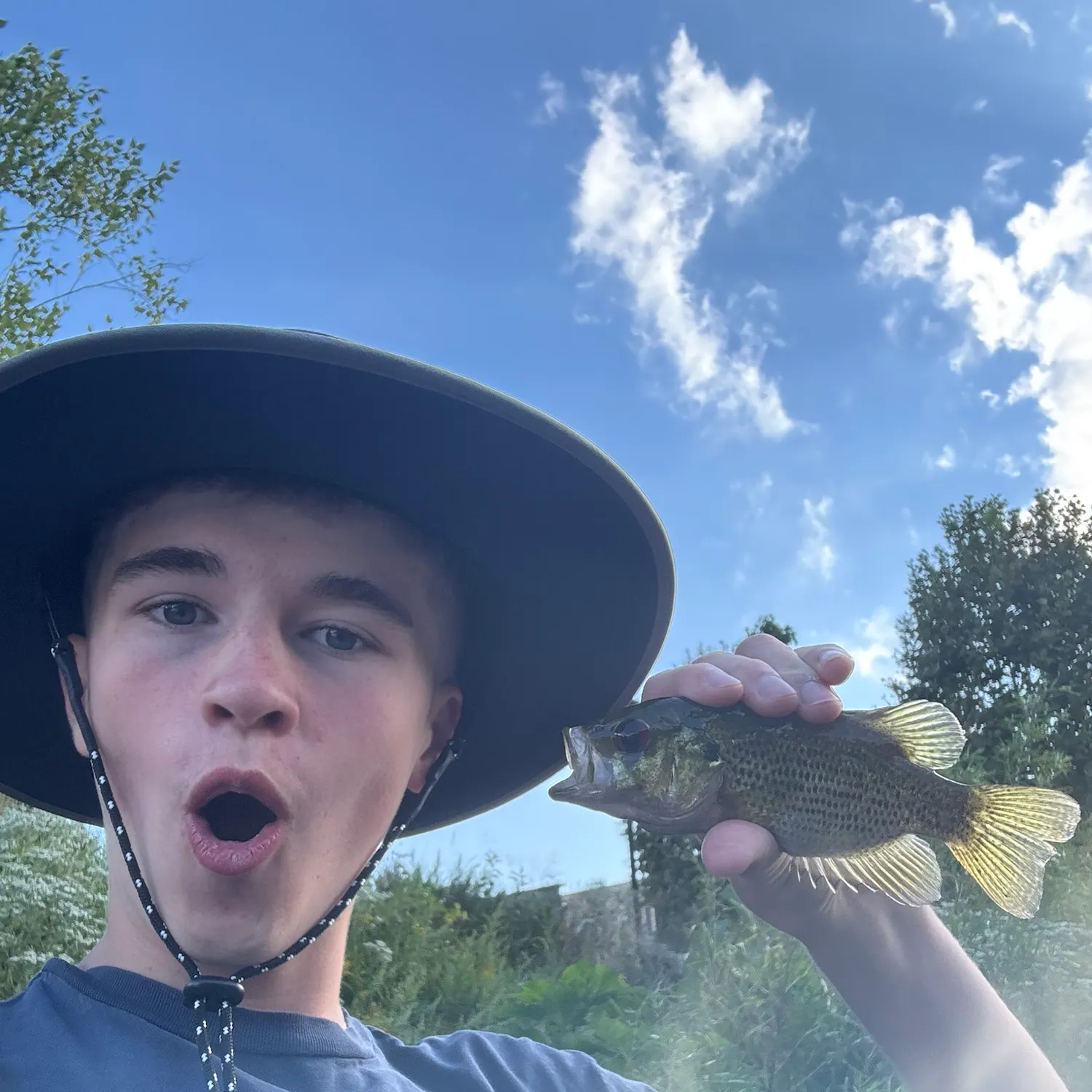 Rock bass caught on Fishbrain