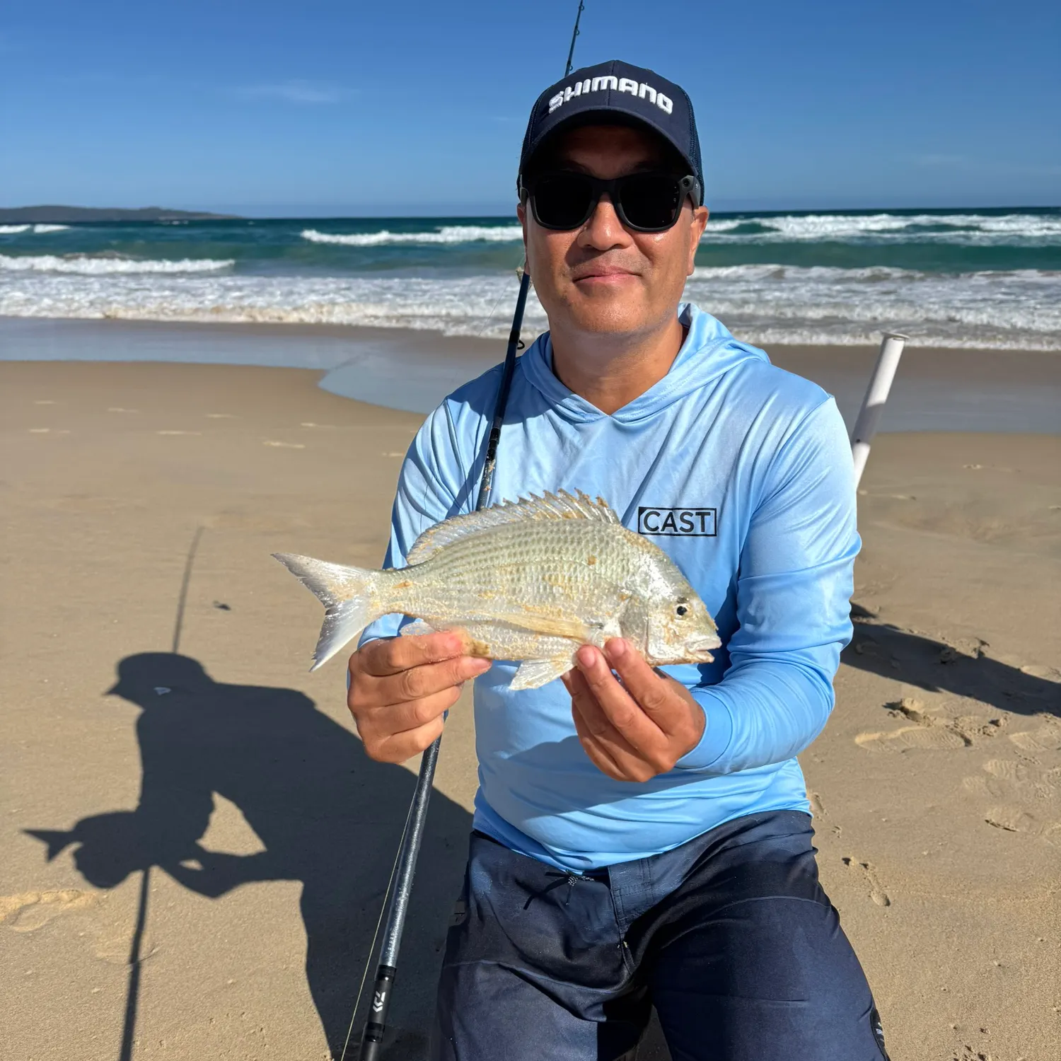 The most recent Surf bream catches on Fishbrain