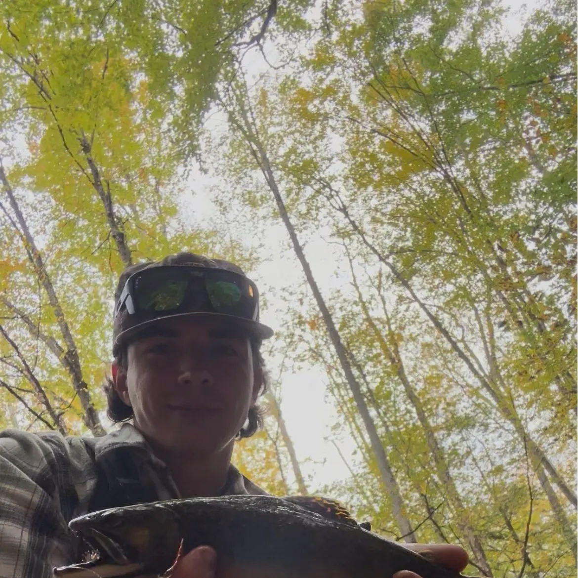 Brook trout caught on Fishbrain