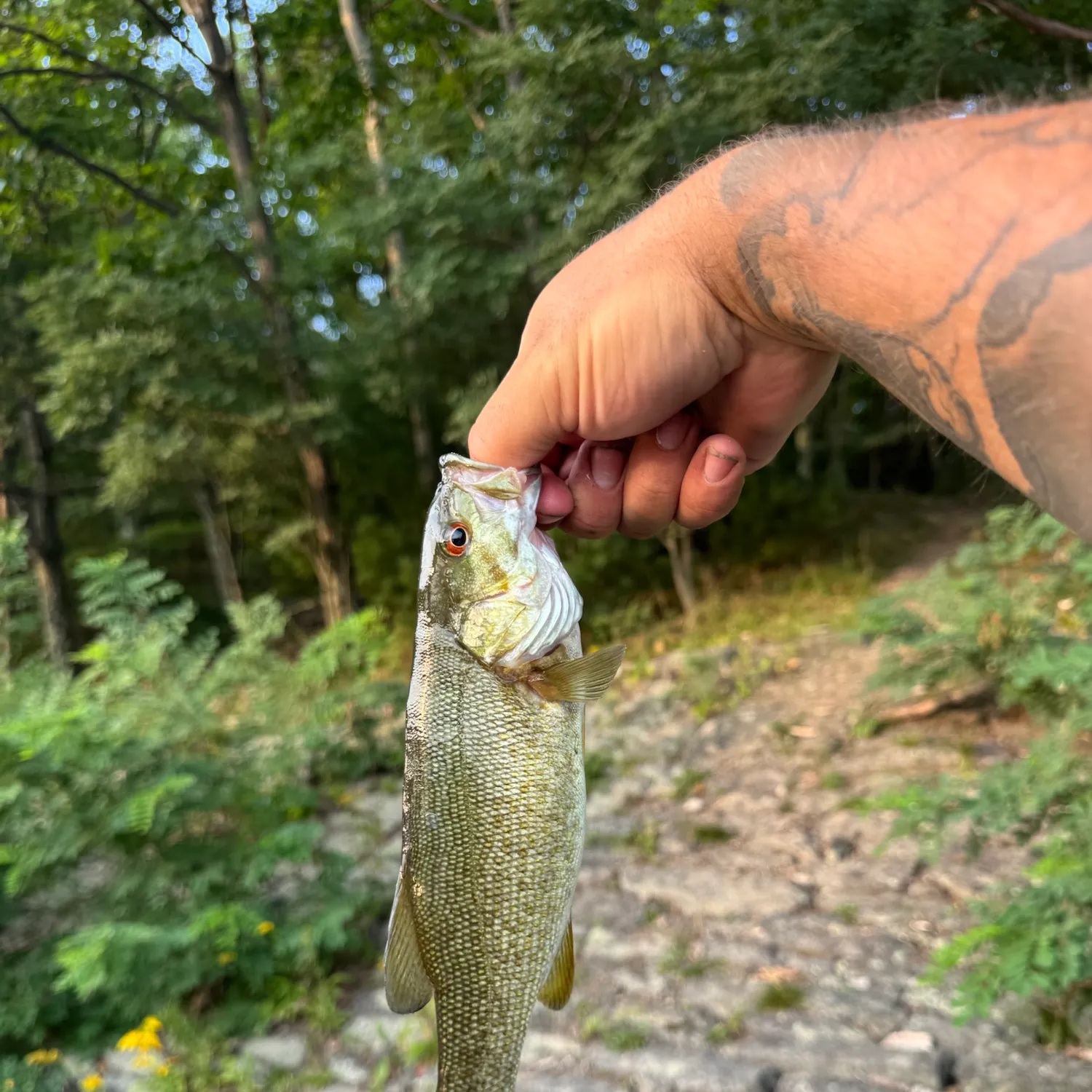 catch