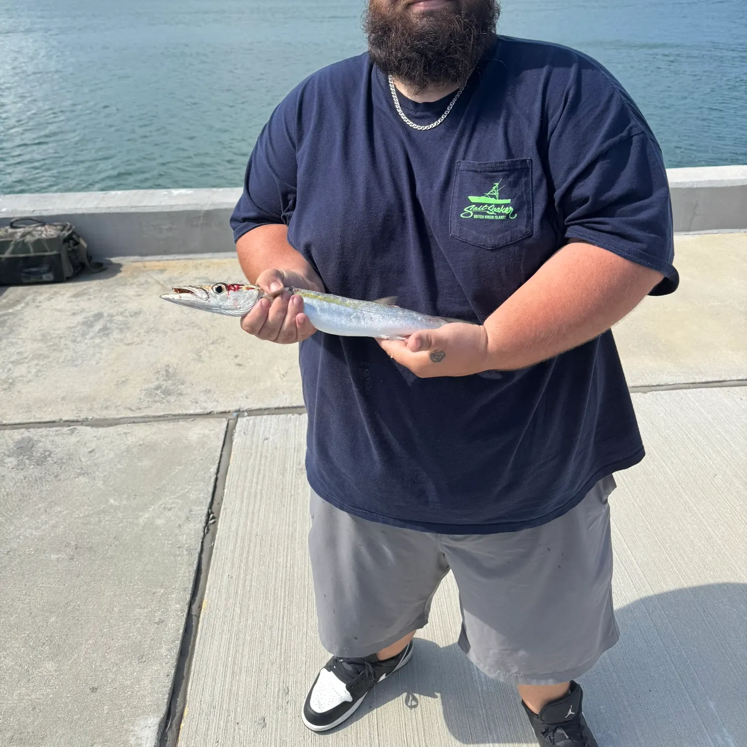 The most recent Obtuse barracuda catches on Fishbrain
